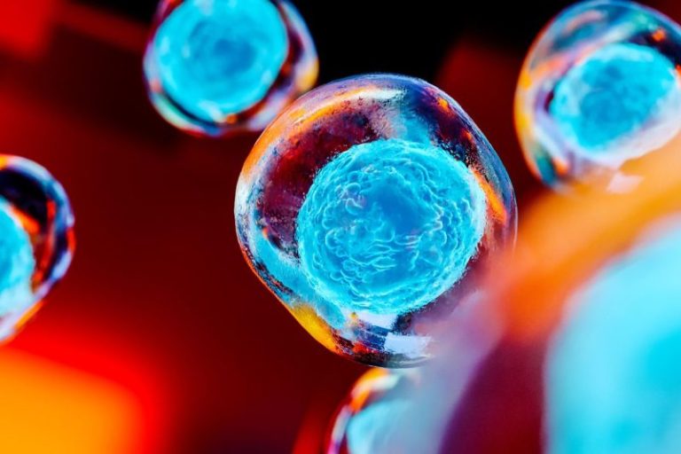 Stem Cell Stocks: 10 Biggest NASDAQ Companies in 2025