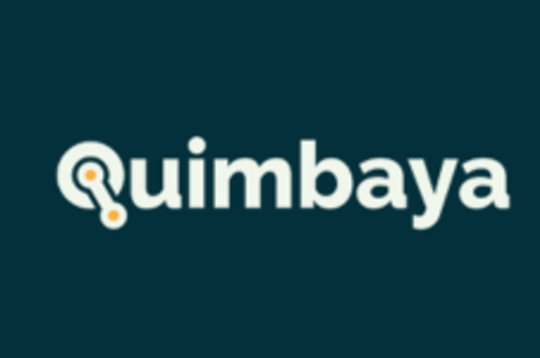 Quimbaya Identifies Mineralized High-Sulfidation Porphyry System at Surface at Tahami